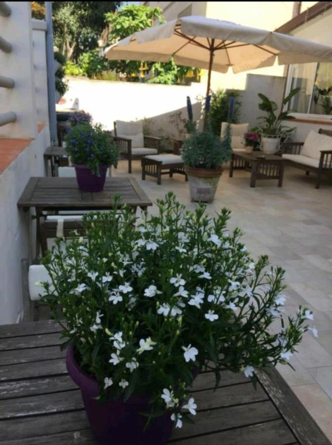 Hotel Lisa Viareggio Dış mekan fotoğraf